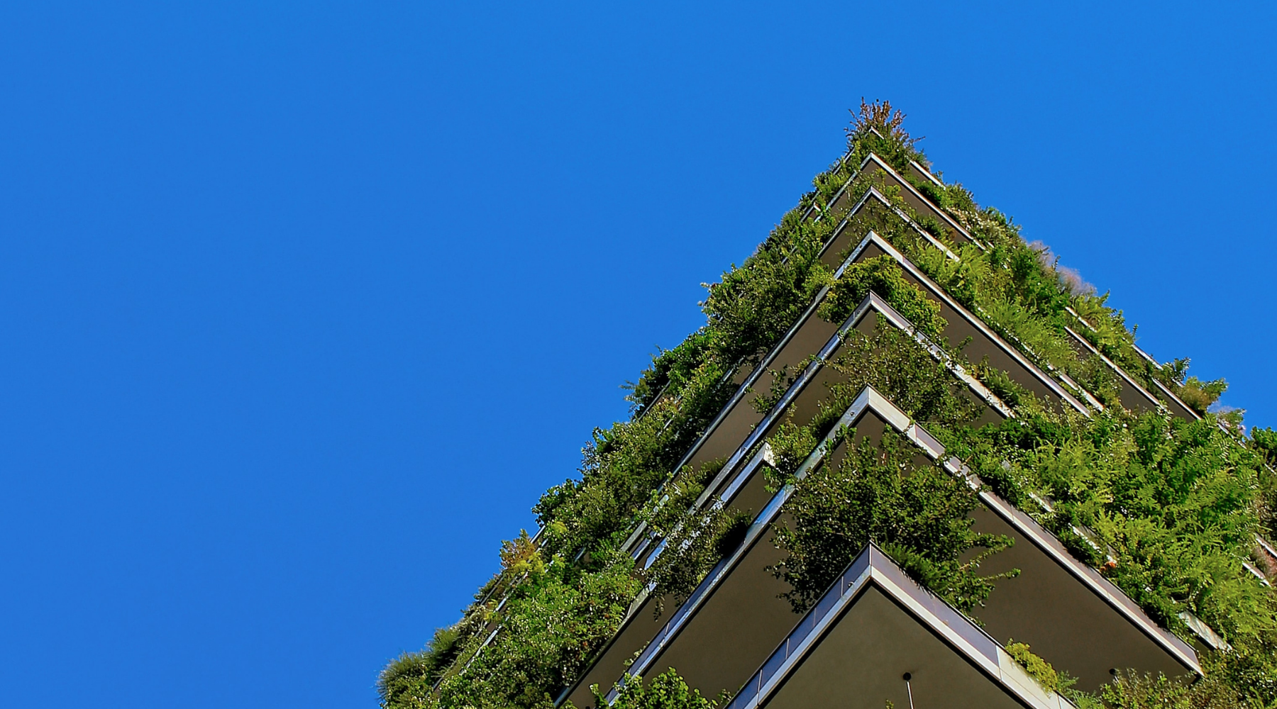 How Rapport is Redefining Sustainable Luxury