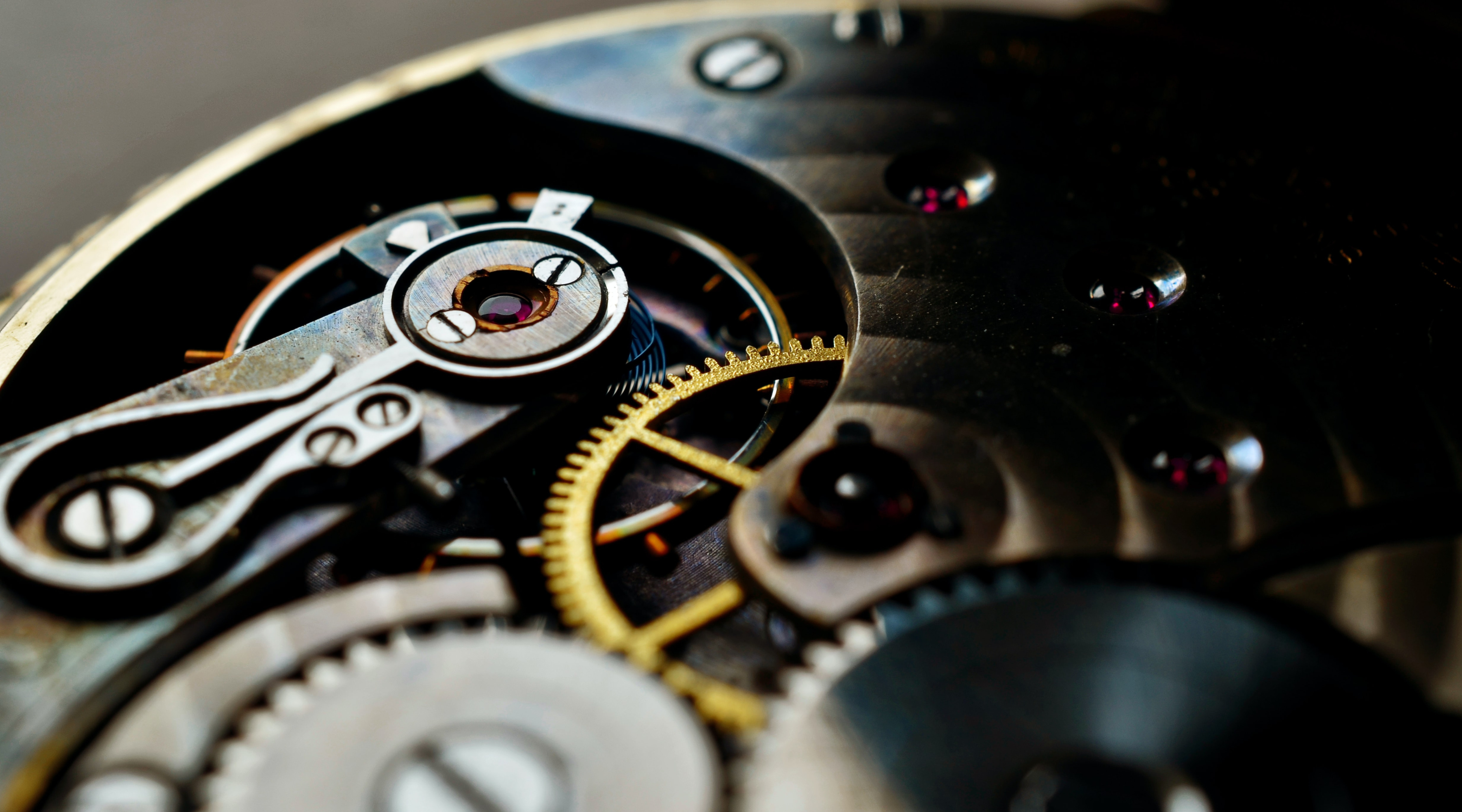 Article: Is It Possible to Have Watchmaking or Repairing Watches as a Hobby?