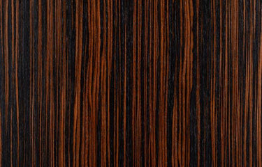 Macassar Banner Image