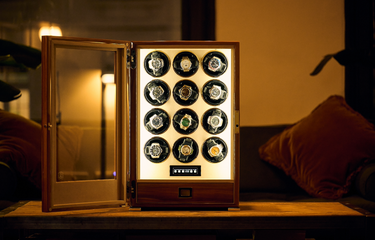 10+ Watch Winders Banner Image