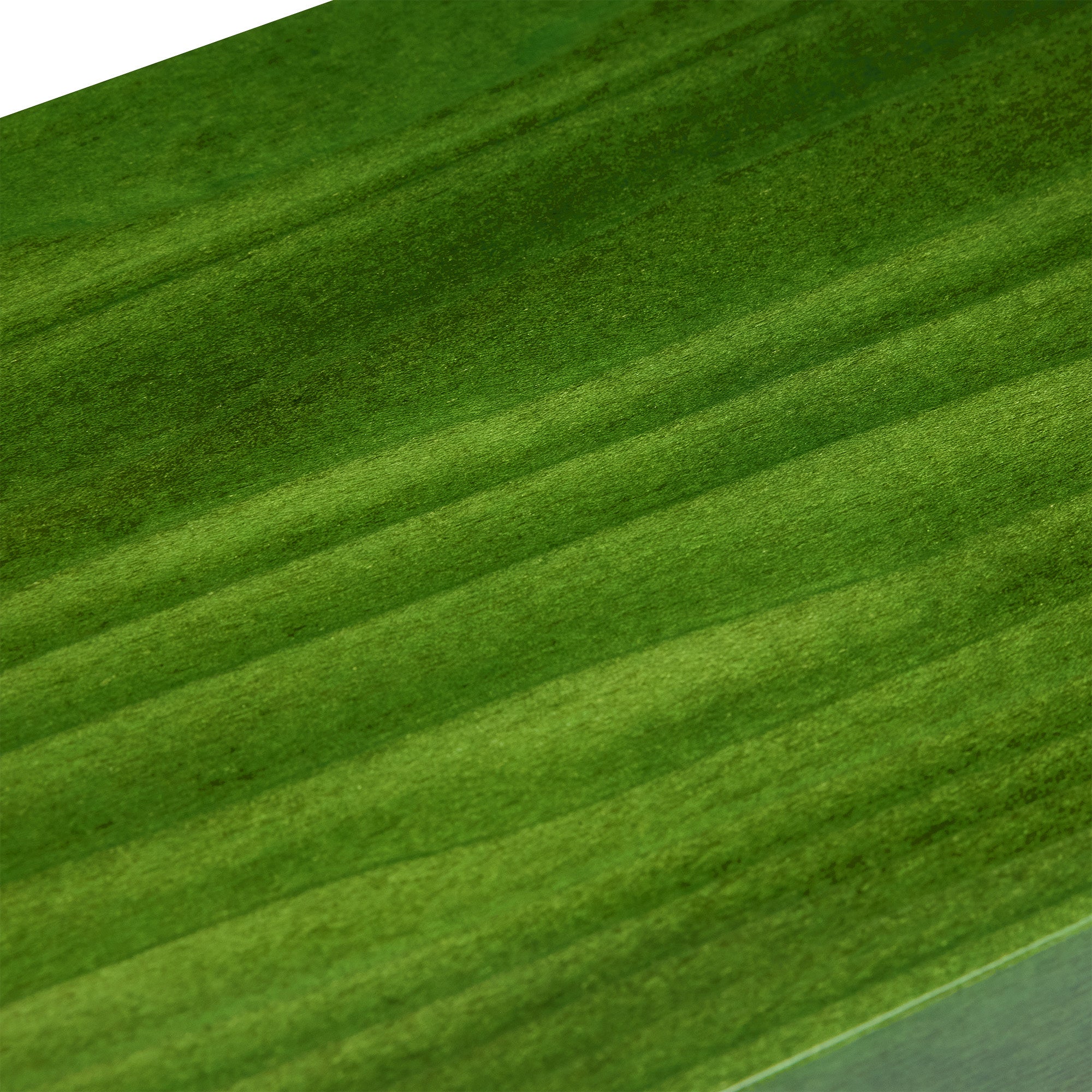 Heritage Chroma Four Watch Box - Green