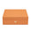 Sample Pimlico Eight Watch Box - Tan