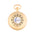 Sample Half Hunter Pocket Watch - Gold