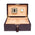 Sample Brompton Large Humidor - Brown