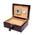 Sample Brompton Medium Humidor - Brown