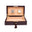 Brompton Humidor - Brown