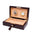 Brompton Humidor - Brown