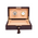 Brompton Humidor - Brown