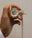 Mechanical Half Hunter Pocket Watch