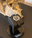 Watch Stands